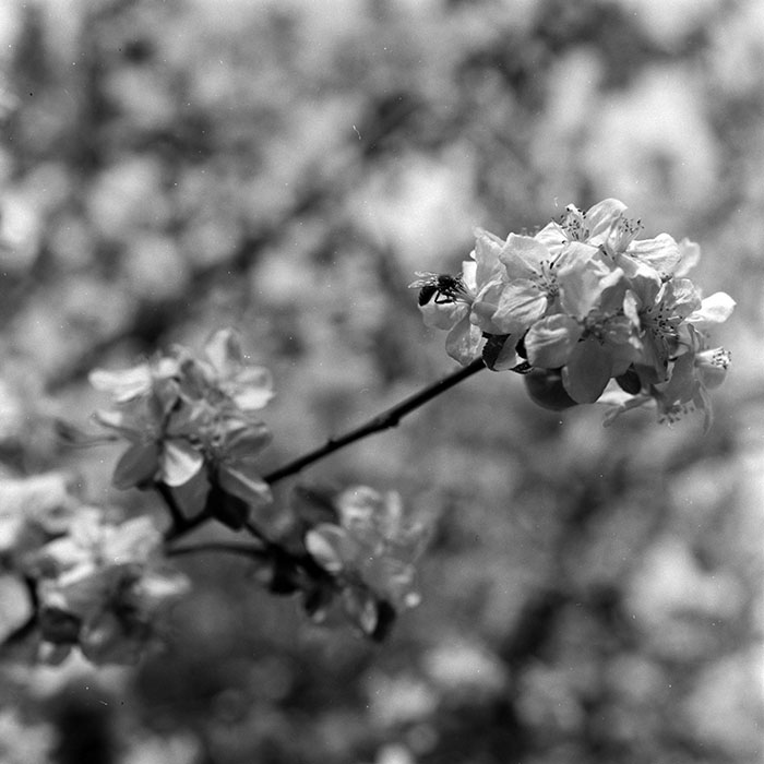 minerva_1967-1973_c5r3_017