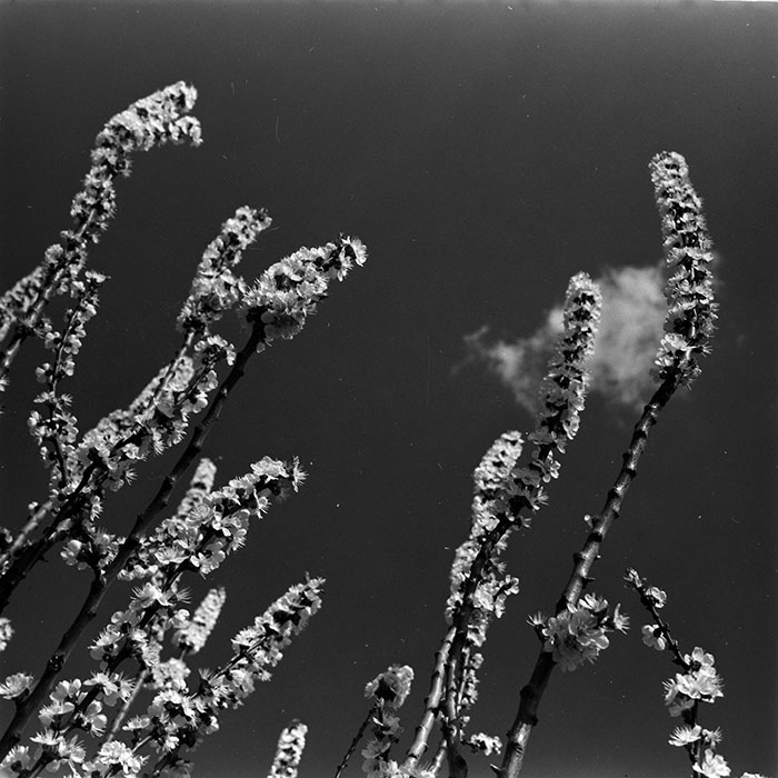 minerva_1967-1973_c5r6_008