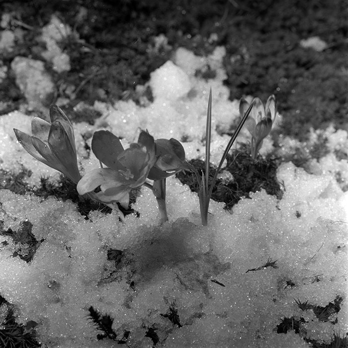 minerva_1967-1973_c5r6_011