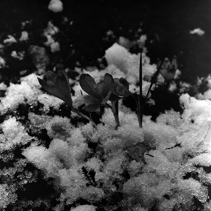 minerva_1967-1973_c5r6_012