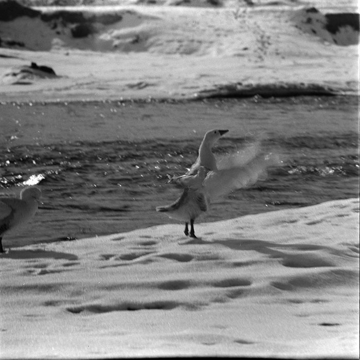 minerva_1967-1973_c5r8_002