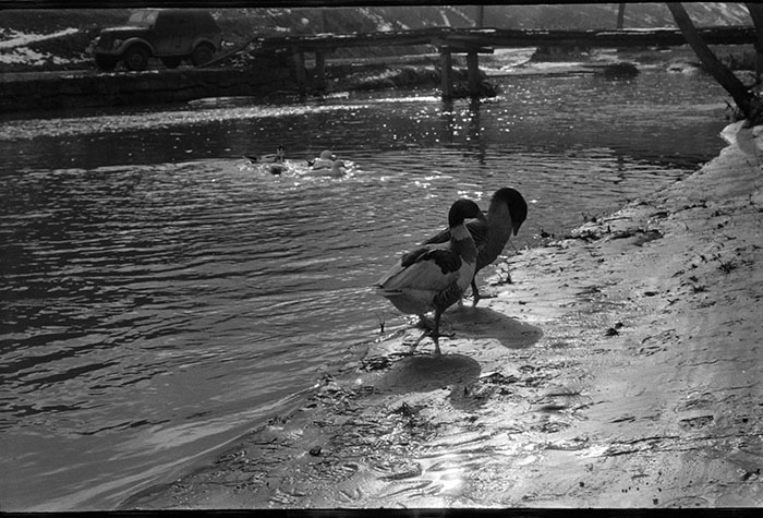 minerva_1967-1973_c5r9_001