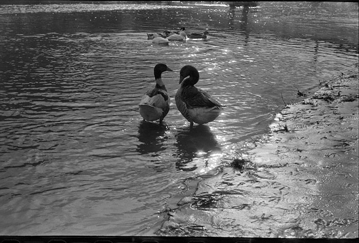 minerva_1967-1973_c5r9_002