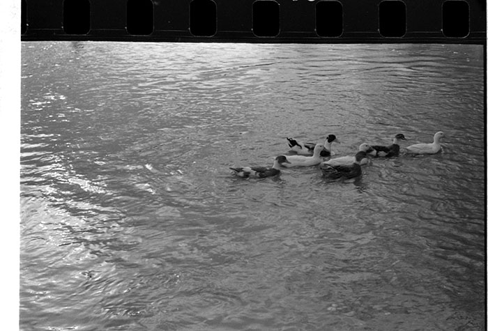 minerva_1967-1973_c5r9_005