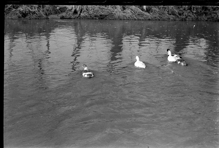 minerva_1967-1973_c5r9_006