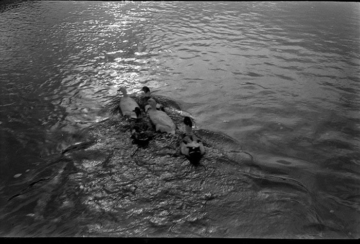 minerva_1967-1973_c5r9_007