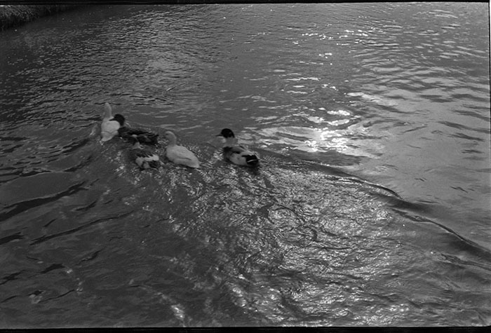 minerva_1967-1973_c5r9_008