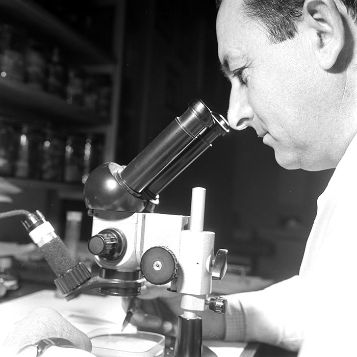 minerva_1967-1973_c6r19_005