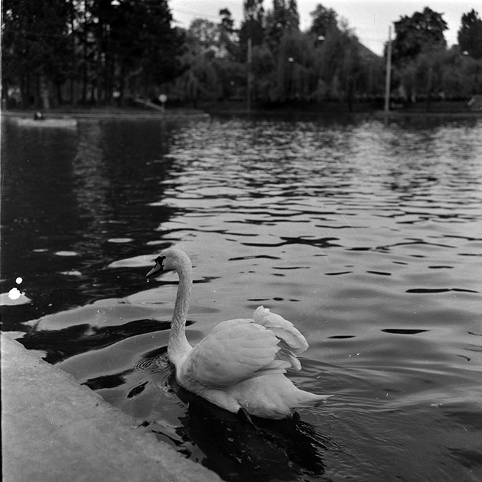 minerva_1967-1973_c7r10_010