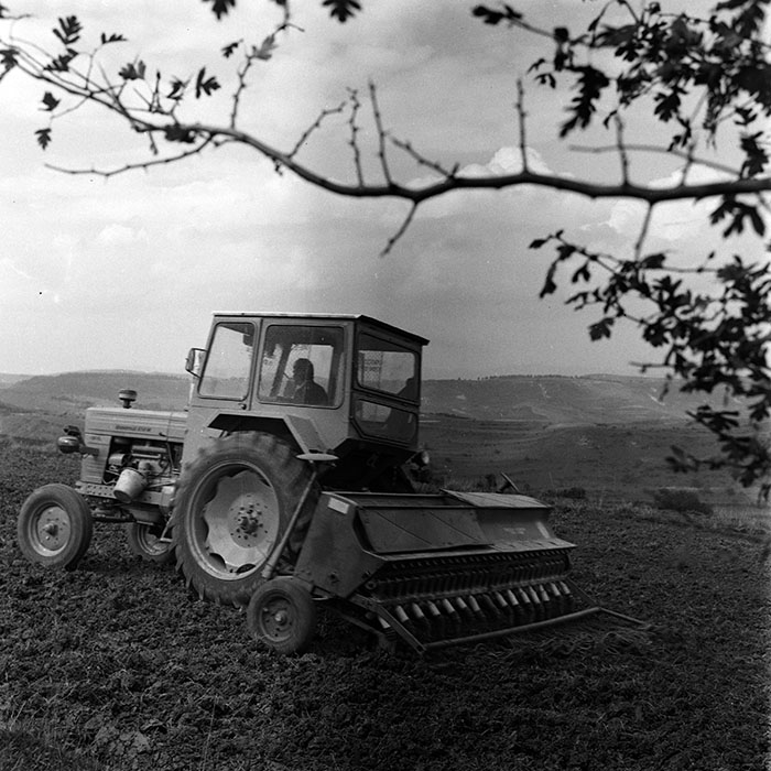 minerva_1970_Agrare_c1_c10r1_003