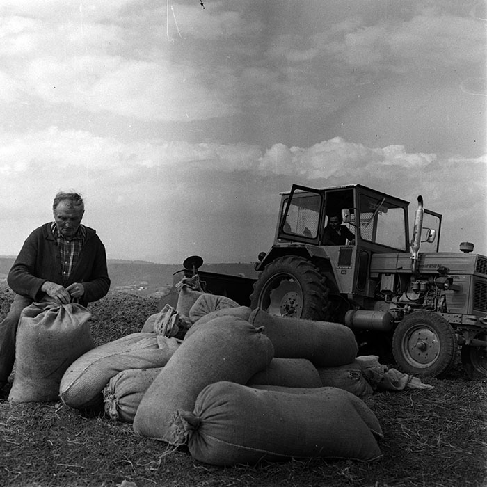 minerva_1970_Agrare_c1_c10r1_004