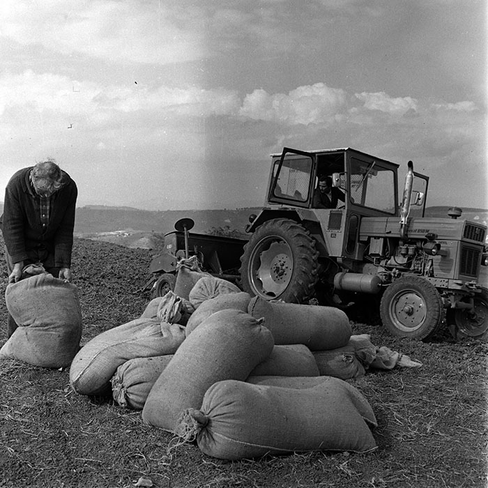 minerva_1970_Agrare_c1_c10r1_005