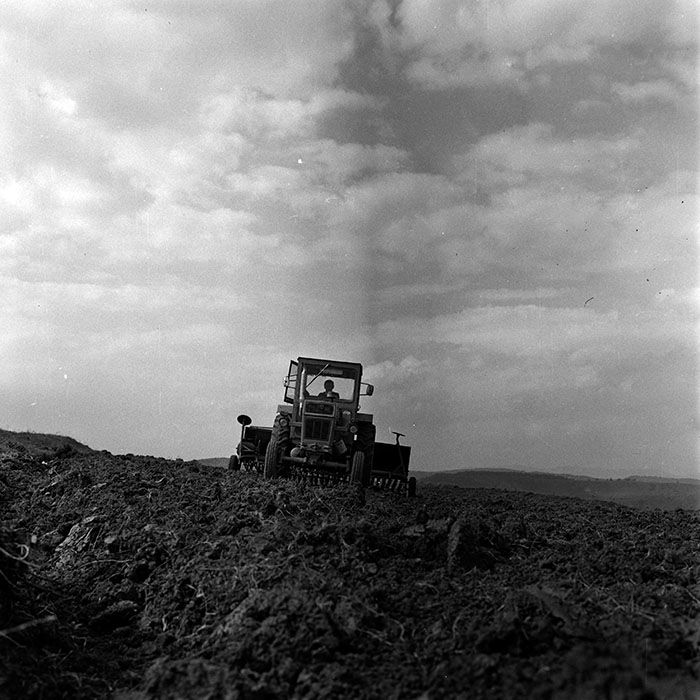 minerva_1970_Agrare_c1_c10r1_010