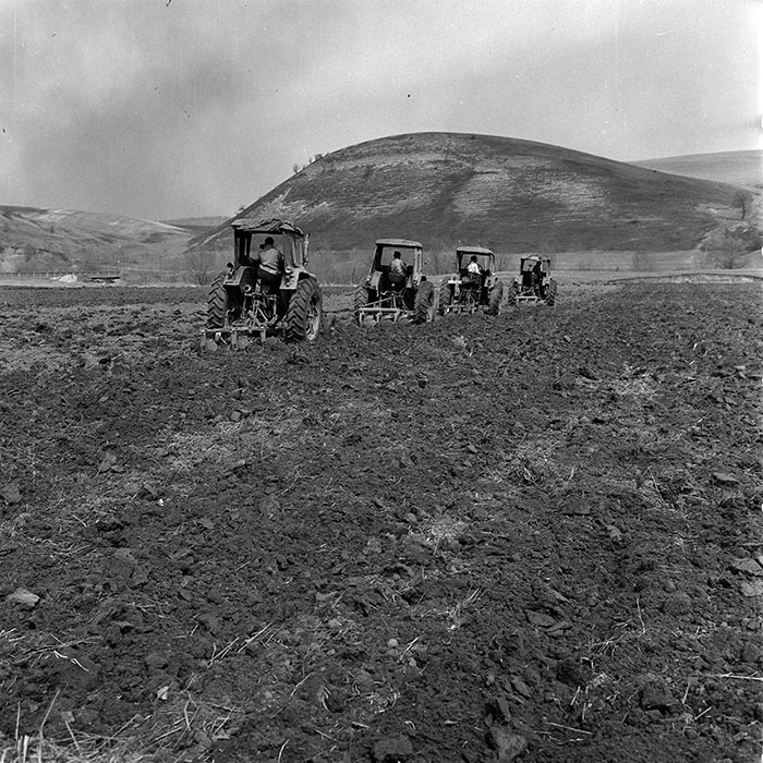 minerva_1970_Agrare_c1_c10r1_013