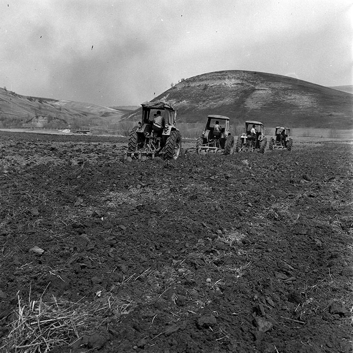 minerva_1970_Agrare_c1_c10r1_014