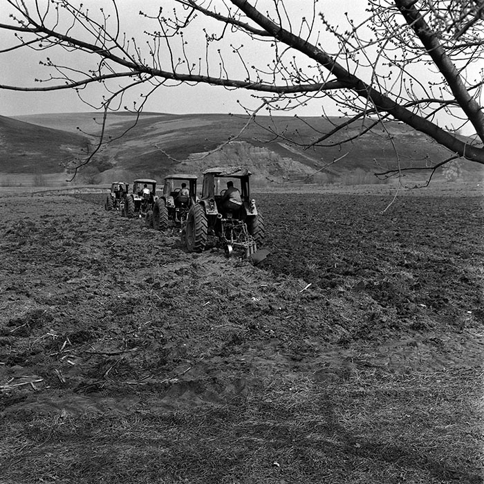 minerva_1970_Agrare_c1_c10r1_015