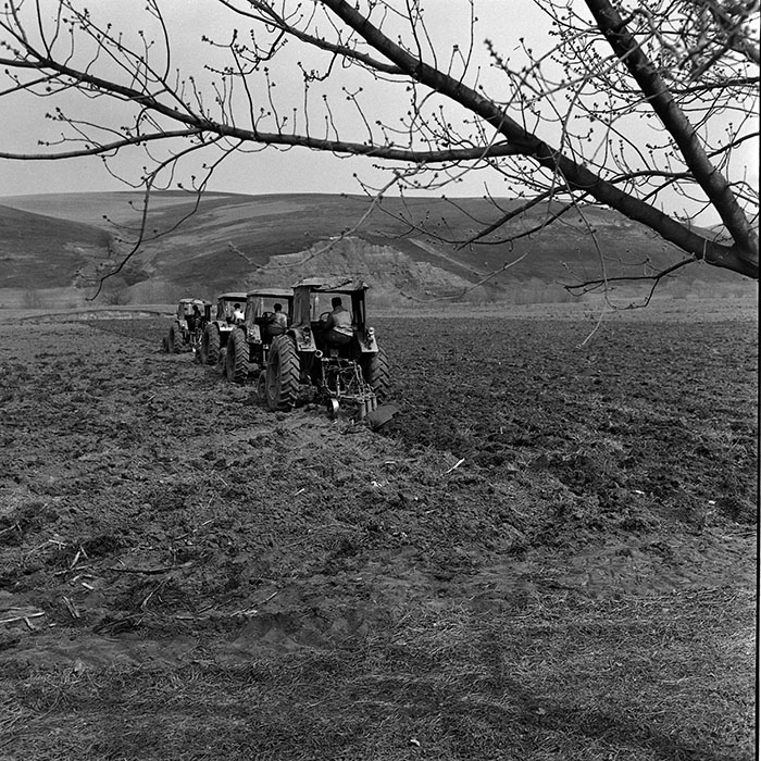 minerva_1970_Agrare_c1_c10r1_016