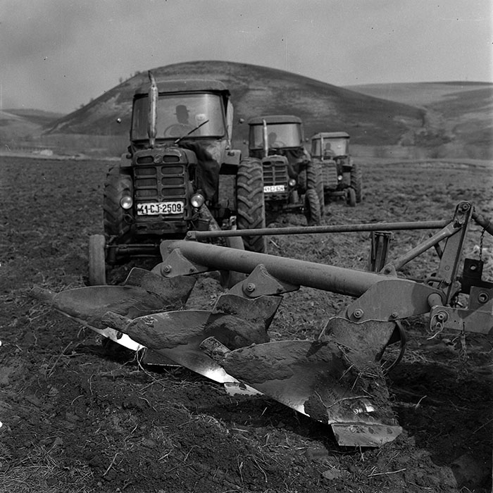 minerva_1970_Agrare_c1_c10r1_017