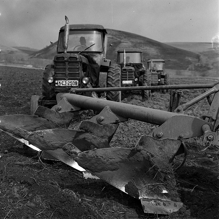 minerva_1970_Agrare_c1_c10r1_019