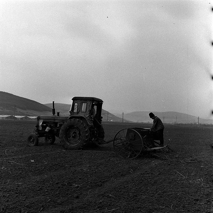 minerva_1970_Agrare_c1_c10r1_029