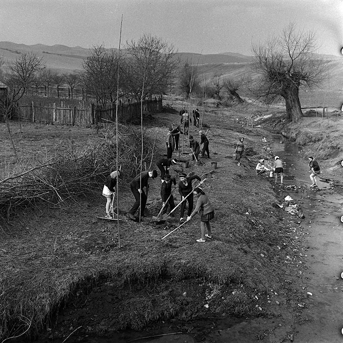 minerva_1970_Agrare_c1_c10r1_034