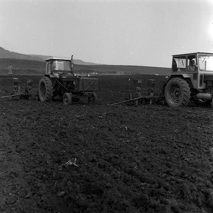 minerva_1970_Agrare_c1_c10r1_038