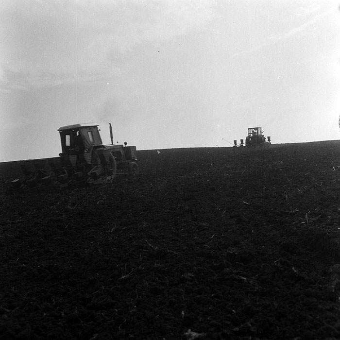 minerva_1970_Agrare_c1_c10r1_039