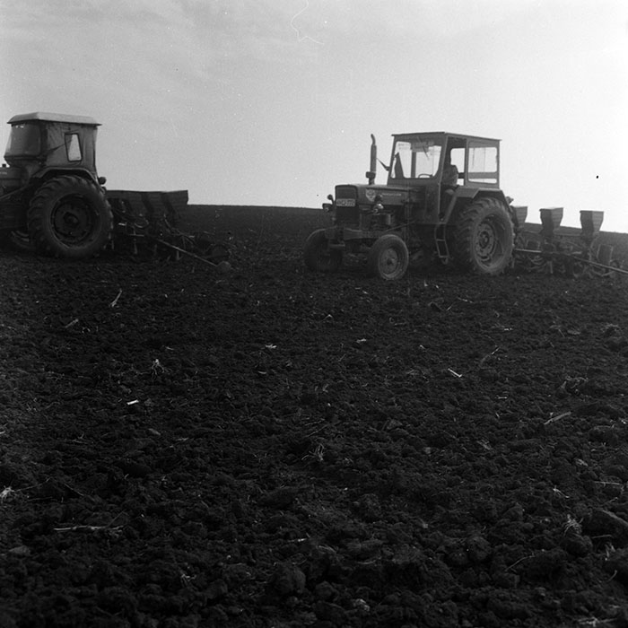 minerva_1970_Agrare_c1_c10r1_040