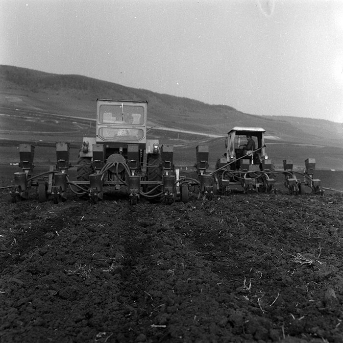 minerva_1970_Agrare_c1_c10r1_041