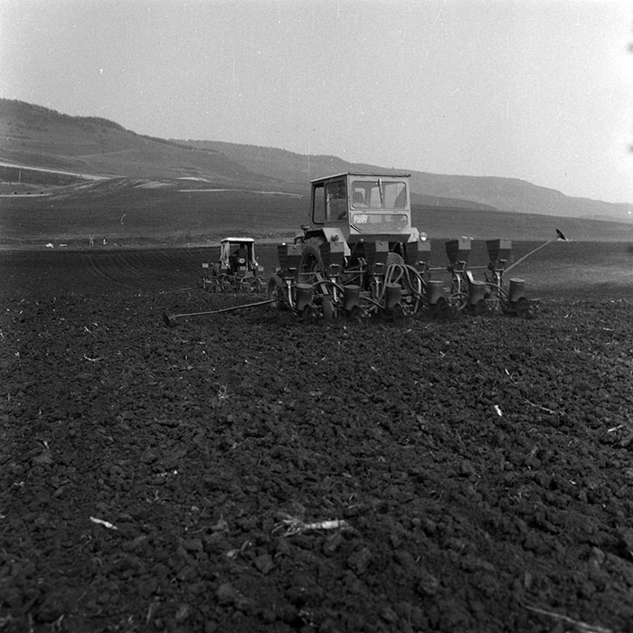 minerva_1970_Agrare_c1_c10r1_043