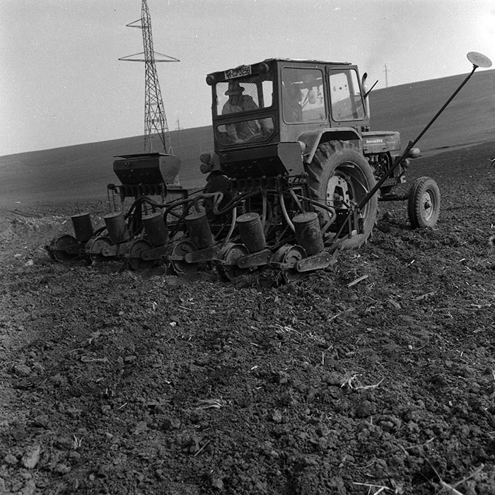 minerva_1970_Agrare_c1_c10r1_044