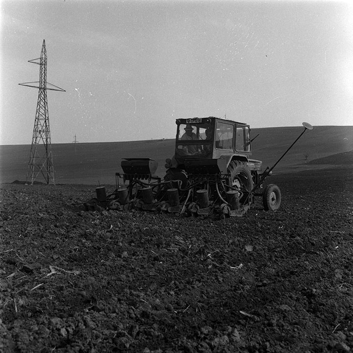 minerva_1970_Agrare_c1_c10r1_045