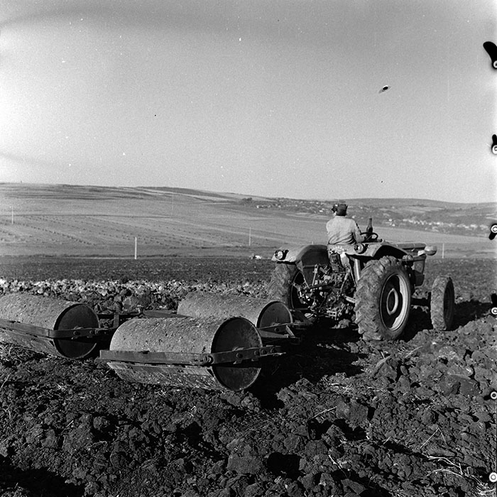 minerva_1970_Agrare_c1_c10r1_047