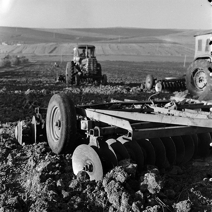 minerva_1970_Agrare_c1_c10r1_049