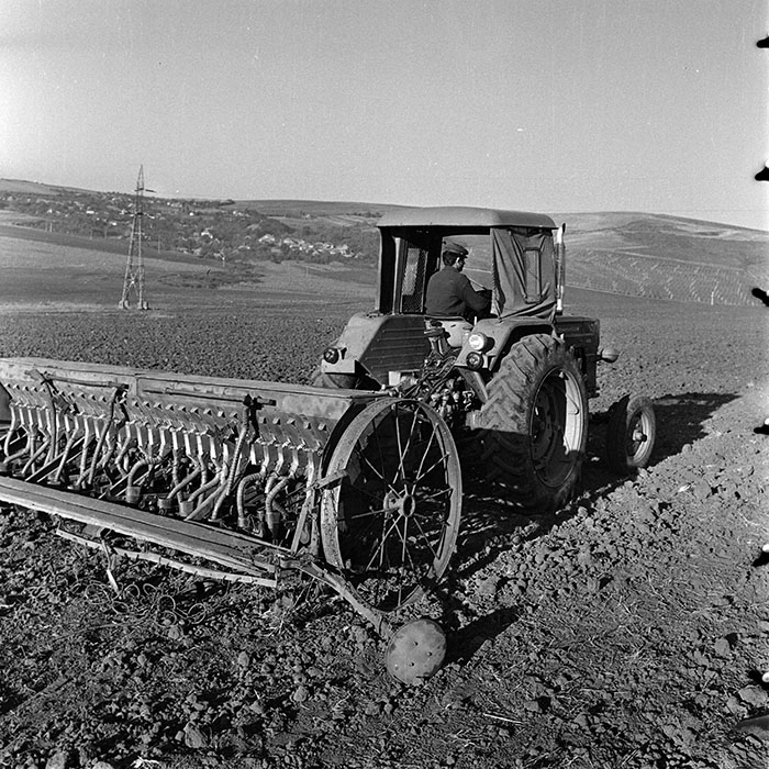 minerva_1970_Agrare_c1_c10r1_051