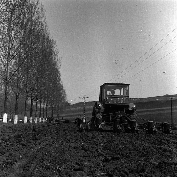 minerva_1970_Agrare_c1_c10r1_052