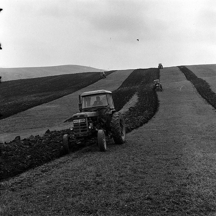 minerva_1970_Agrare_c1_c10r2_004