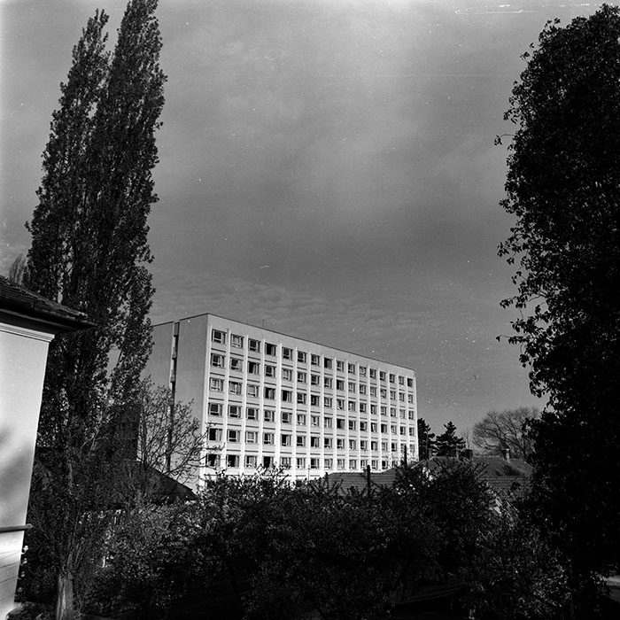 minerva_1970_Agrare_c1_c10r2_007