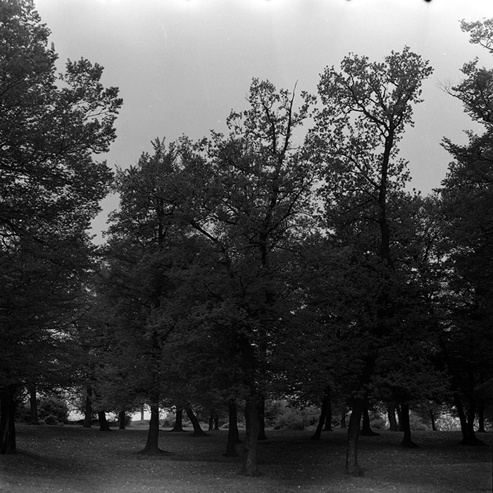 minerva_1970_Agrare_c1_c10r2_015