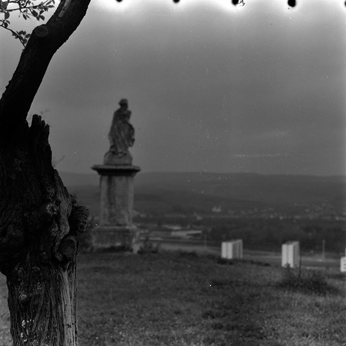 minerva_1970_Agrare_c1_c10r2_017