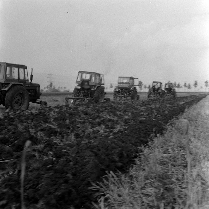 minerva_1970_Agrare_c1_c1r1_003