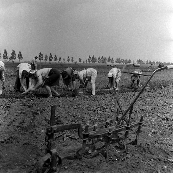 minerva_1970_Agrare_c1_c1r1_007