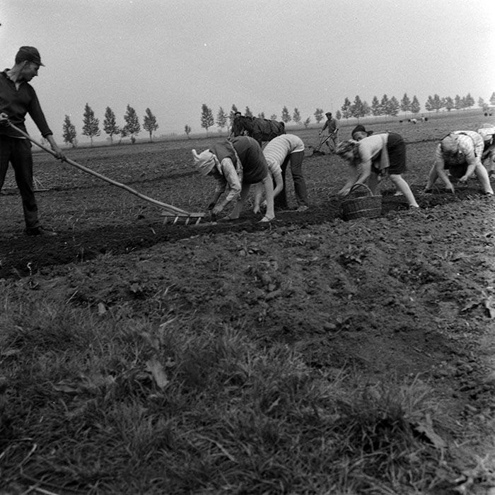 minerva_1970_Agrare_c1_c1r1_008