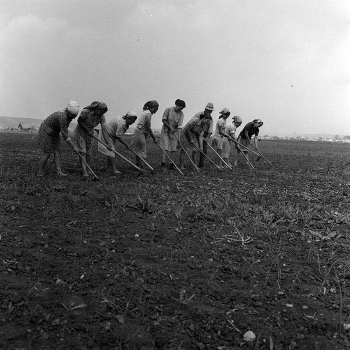 minerva_1970_Agrare_c1_c1r1_010