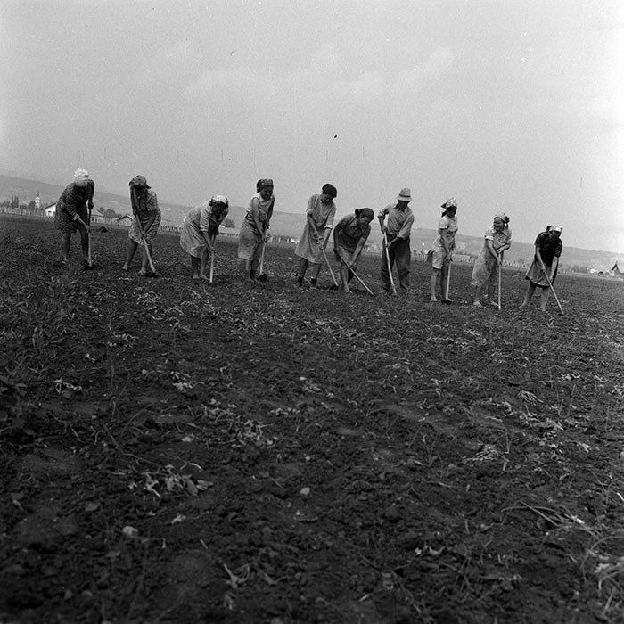 minerva_1970_Agrare_c1_c1r1_011