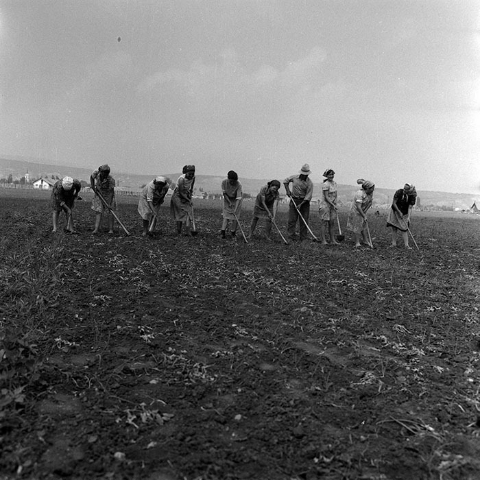 minerva_1970_Agrare_c1_c1r1_012