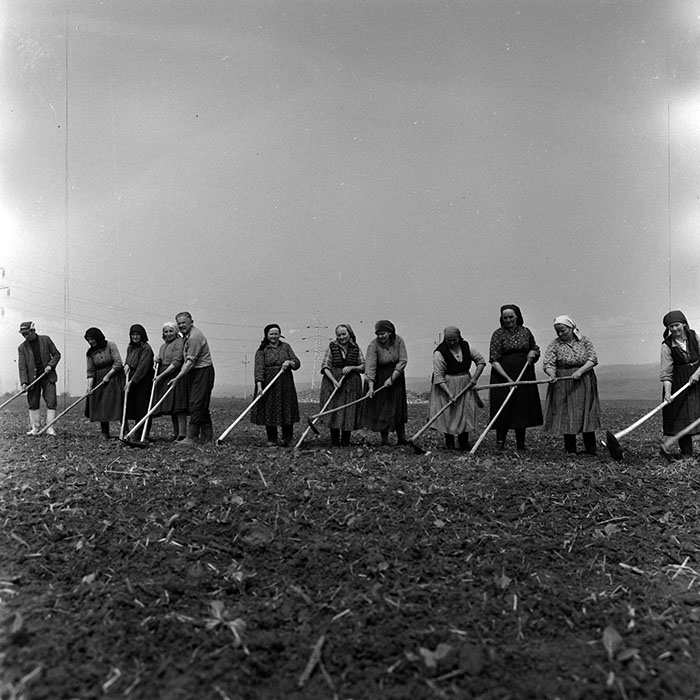 minerva_1970_Agrare_c1_c1r1_014