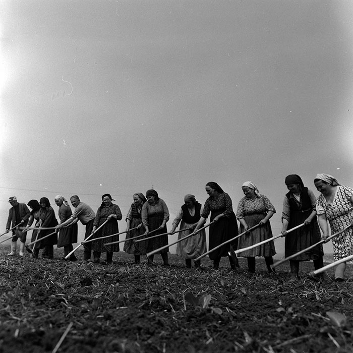 minerva_1970_Agrare_c1_c1r1_015