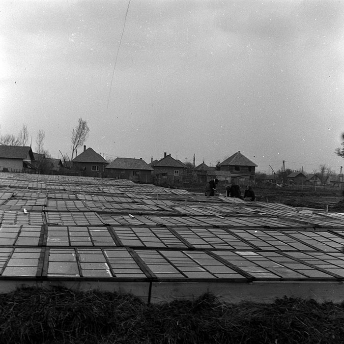 minerva_1970_Agrare_c1_c1r2_001