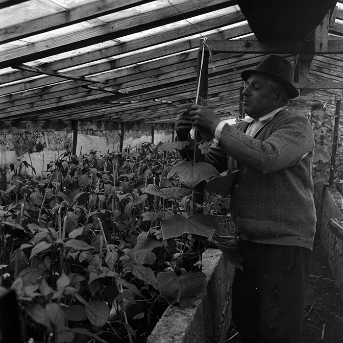 minerva_1970_Agrare_c1_c1r2_004